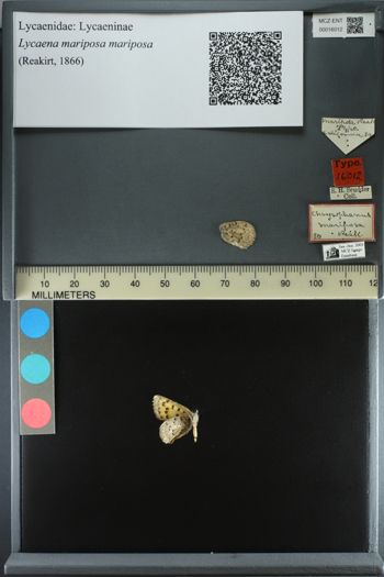 Media type: image;   Entomology 16012